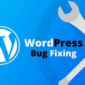 WordPress Bug Fixing & Troubleshooting